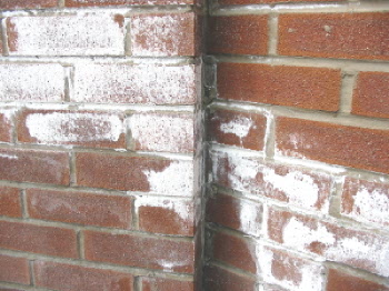 How Efflorescence Can Damage Your Brick Repair